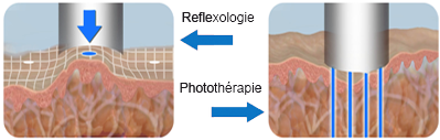 Fonctionnement en reflexologie Fonctionnement en reflexologie