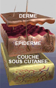 Schéma : vue en coupe de l'effet sur la peau Schéma : vue en coupe de l'effet sur la peau